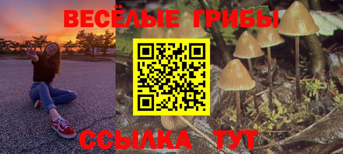 Галлюциногенные грибы GOLDEN TEACHER Норильск